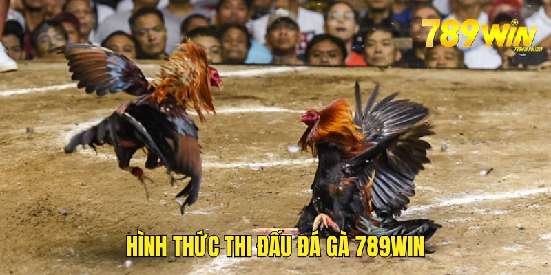 hinh-thuc-thi-dau-da-ga-789win