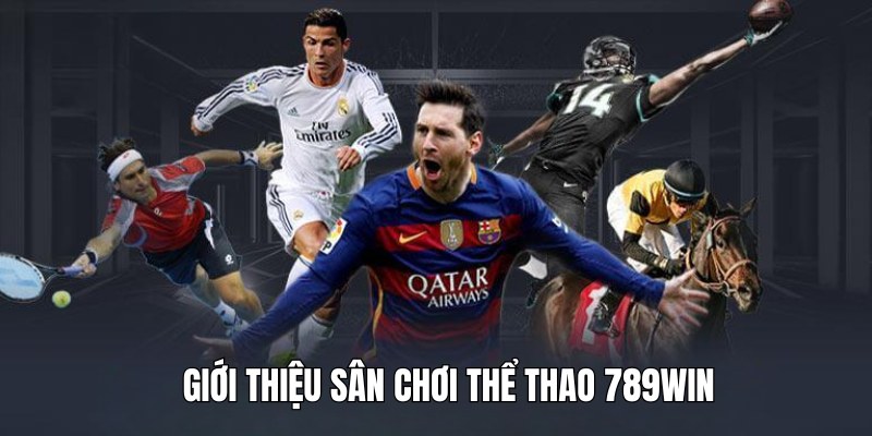 Thể Thao 789Win - Trải Nghiệm Sân Chơi Đẳng Cấp Nhất Châu Á 3 cac-mon-the-thao-duoc-san-don-nhieu-nhat-tai-nha-cai