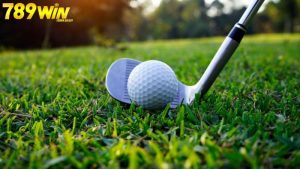Cá cược golf